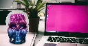 FTML2.webp