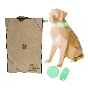 PzasPrrMF.webp