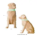 PzamedidasPrrMF.webp