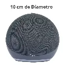 PzamedidasNg.webp