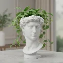 David.webp