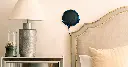 FTML1.webp