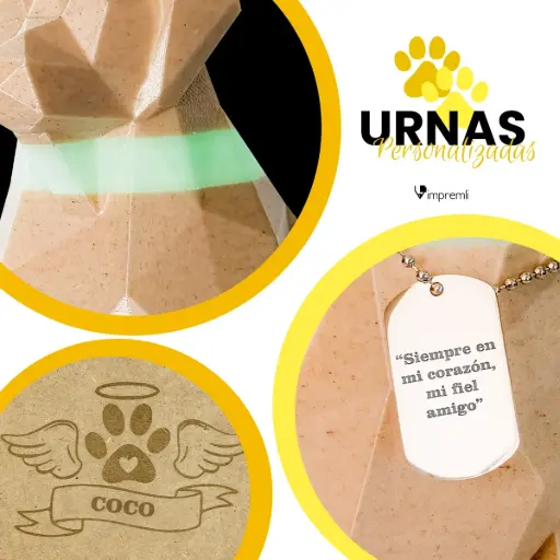 Urna Funeraria para Cenizas de Cremación Mascota tipo Perro Collar Fluorescente